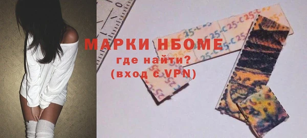 шишки Баксан