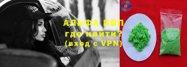 шишки Баксан
