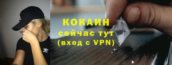 шишки Баксан