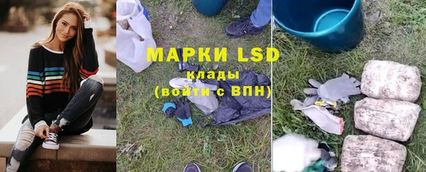индика Сосновый Бор