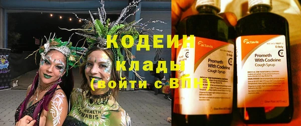 шишки Баксан