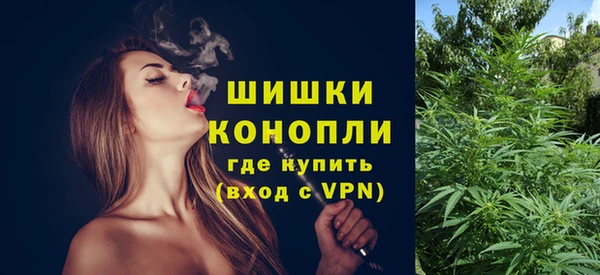 шишки Баксан