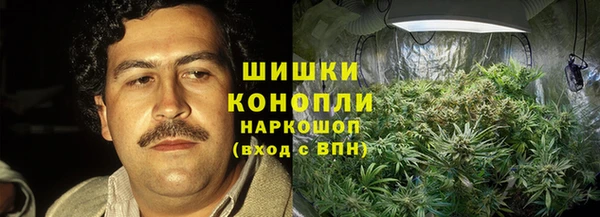 шишки Баксан