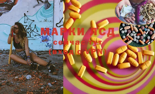 шишки Баксан