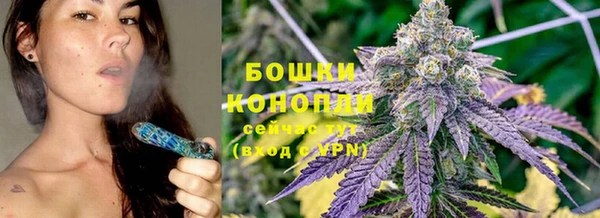 шишки Балахна