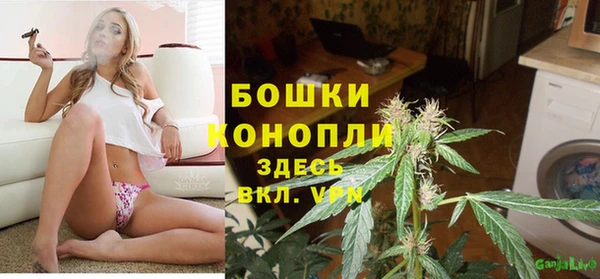 шишки Балахна