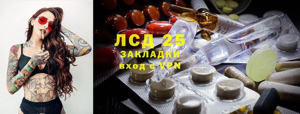 шишки Балахна