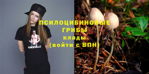 шишки Баксан